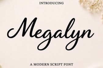 Megalyn Font Projects & Design Inspiration
